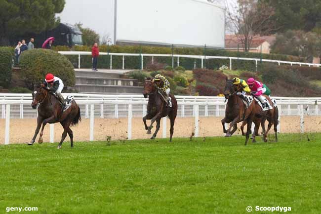 27/01/2025 - Cagnes-sur-Mer - Prix de Marseille : Arrivée