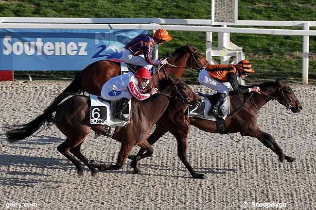 11/02/2009 - Cagnes-sur-Mer - Prix de Barcelonnette : Arrivée