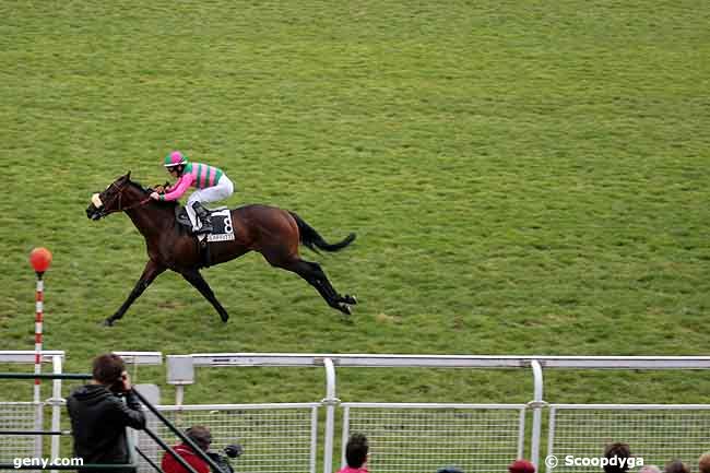 01/11/2010 - Maisons-Laffitte - Critérium de Maisons-Laffitte : Arrivée