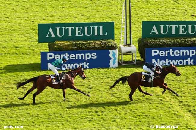 03/11/2013 - Auteuil - Prix Fondeur : Arrivée