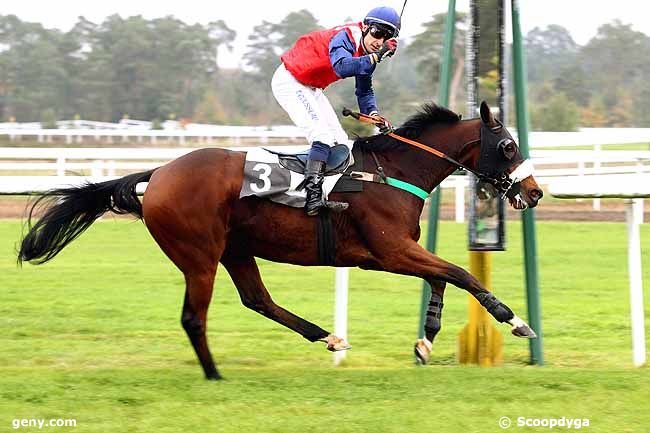 20/10/2015 - Fontainebleau - Prix Esmondo : Arrivée