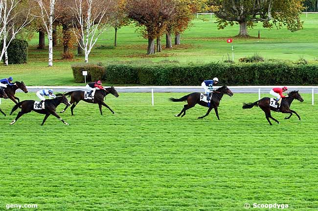 28/10/2015 - Maisons-Laffitte - Prix de la Route des Pavillons : Arrivée