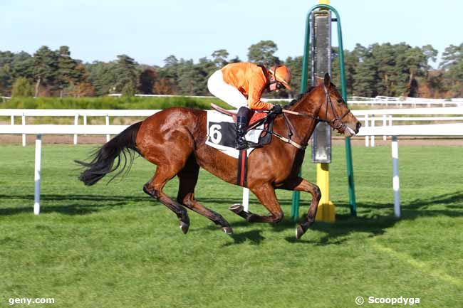 03/11/2016 - Fontainebleau - Prix Patrice Quenedey : Result