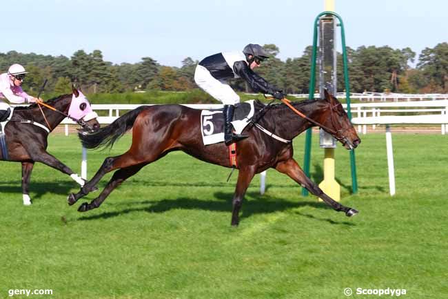 31/10/2017 - Fontainebleau - Prix de la Ville d'Avon : Result