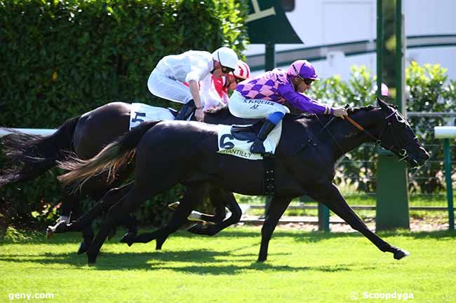 31/08/2019 - Chantilly - Prix des Machines de Manses : Result