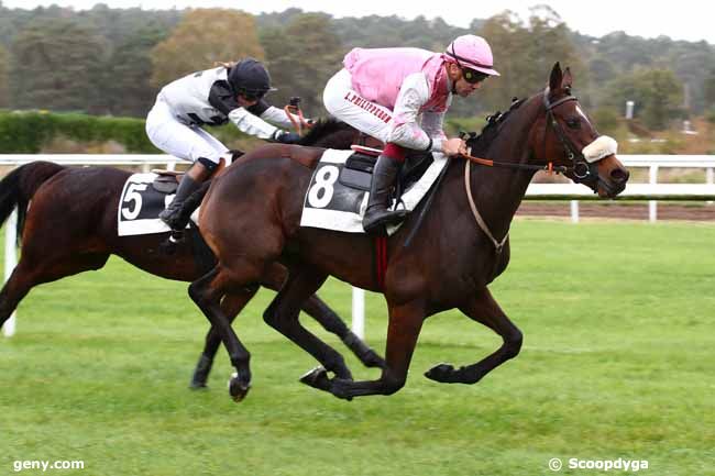 26/10/2023 - Fontainebleau - Prix de la Route des Deux Soeurs : Arrivée