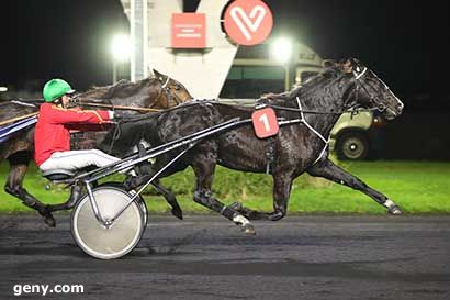 28/11/2023 - Vincennes - Prix des Anémones : Arrivée