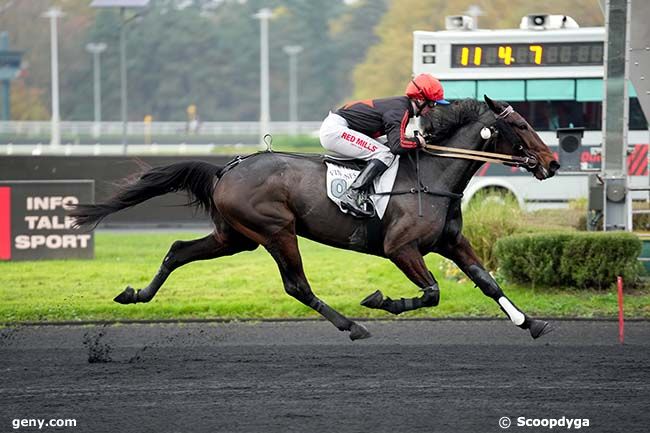 17/11/2024 - Vincennes - Prix de Mandelieu : Arrivée