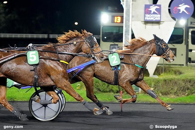 12/12/2024 - Vincennes - Prix de Saint-Malo : Arrivée