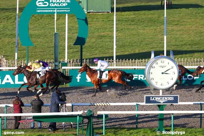 26/12/2024 - Chantilly - Prix de la Motte Louvet : Ankunft