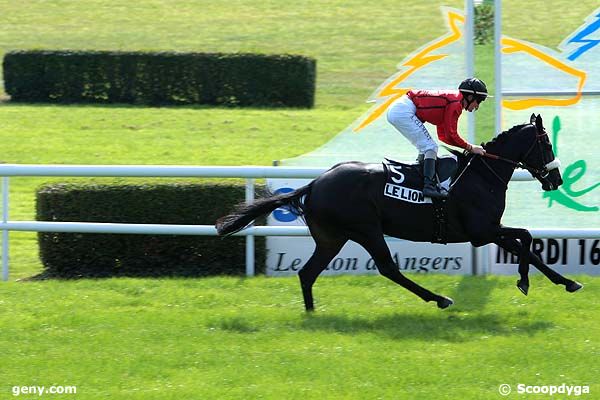 16/09/2008 - Le Lion-d'Angers - Prix Point Bleu : Arrivée