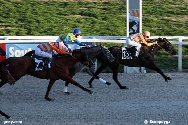 11/02/2009 - Cagnes-sur-Mer - Prix de Draguignan : Arrivée