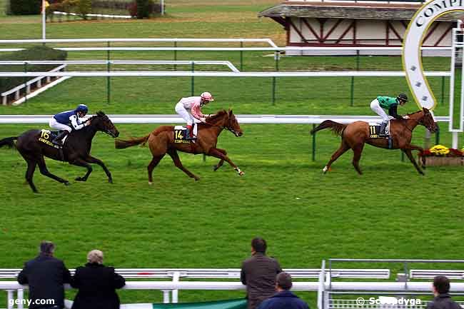 17/11/2009 - Compiègne - Prix de Dreslincourt : Result