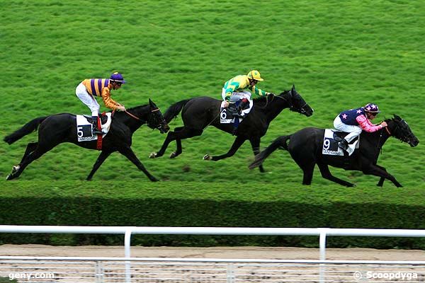 31/03/2011 - Saint-Cloud - Prix du Jardin de l'Avre : Ankunft