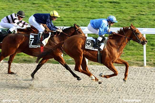 20/01/2012 - Cagnes-sur-Mer - Prix de Clairefontaine : Result