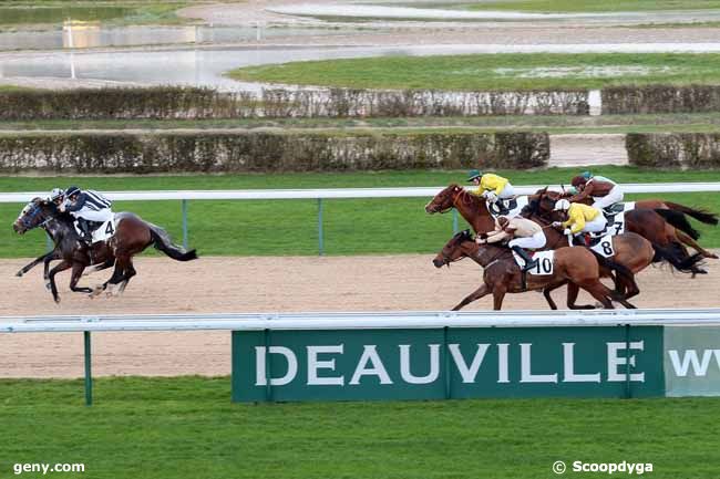 20/12/2012 - Deauville - Prix de Brullemail : Arrivée