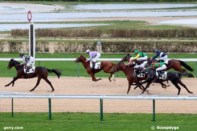 28/12/2012 - Deauville - Prix du Buff : Arrivée