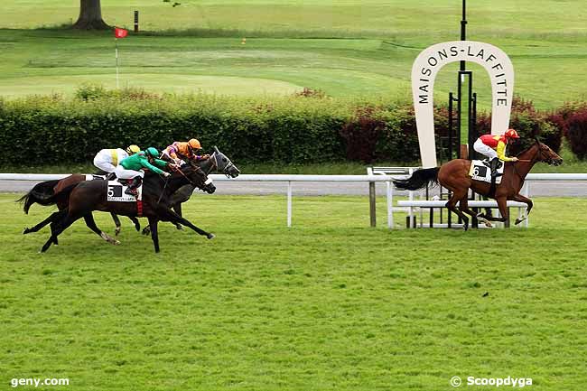 31/05/2013 - Maisons-Laffitte - Prix Noir et Or : Arrivée