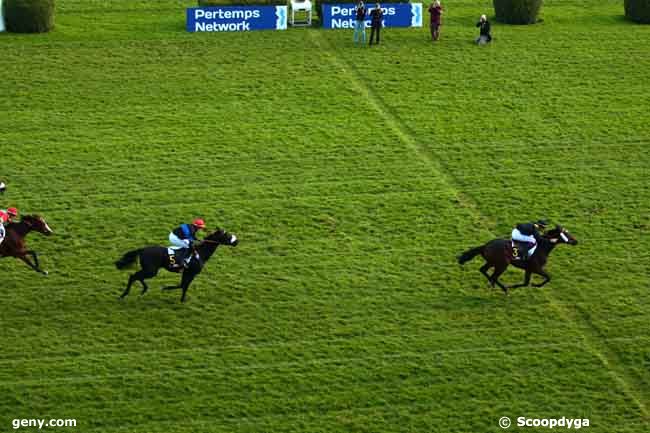 03/11/2013 - Auteuil - Prix Cambacères - Grande Course de Haies des 3 ans : Arrivée