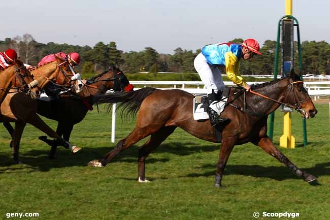 14/03/2017 - Fontainebleau - Prix de Barbizon : Arrivée