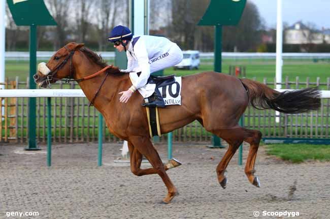 13/11/2017 - Chantilly - Prix de la Forêt de Carnelle : Ankunft