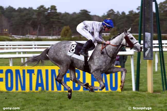 16/03/2018 - Fontainebleau - Prix des Pins Laricio : Arrivée