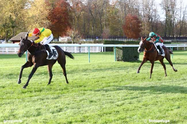 22/11/2019 - Compiègne - Prix Général de Saint-Didier : Arrivée