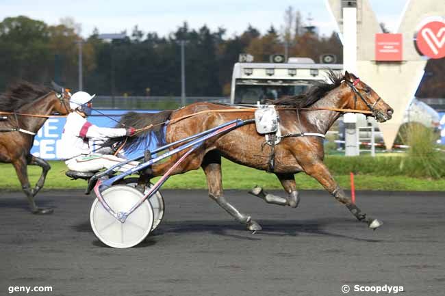 10/11/2020 - Vincennes - Prix Florentina : Arrivée