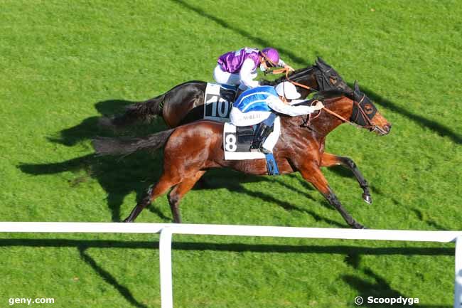 12/11/2020 - Fontainebleau - Prix des Charmilles : Arrivée