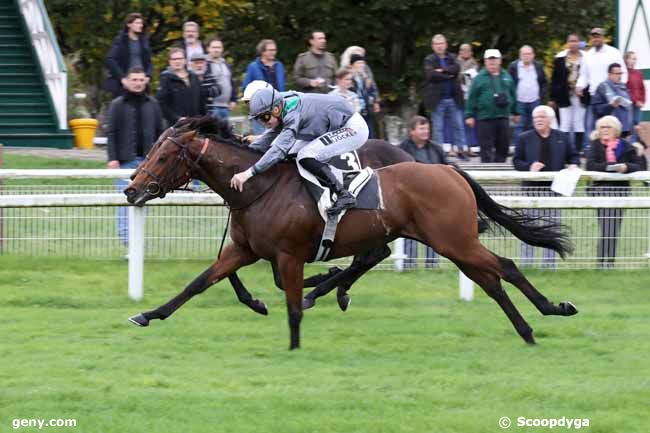 15/10/2022 - Fontainebleau - Prix Artus de Maille : Arrivée