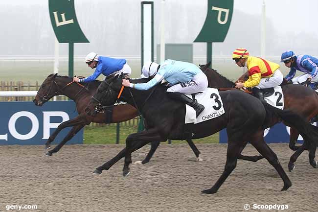 11/02/2023 - Chantilly - Prix du Castel : Arrivée