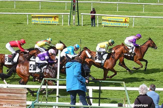 10/05/2023 - Fontainebleau - Prix de la Forêt de Fontainebleau : Arrivée