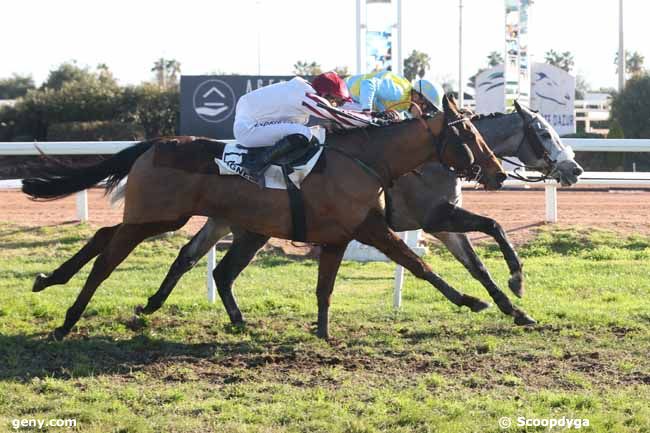 18/12/2023 - Cagnes-sur-Mer - Prix Al Capone II : Arrivée