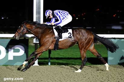 28/12/2023 - Deauville - Prix de la Piscine Olympique : Arrivée