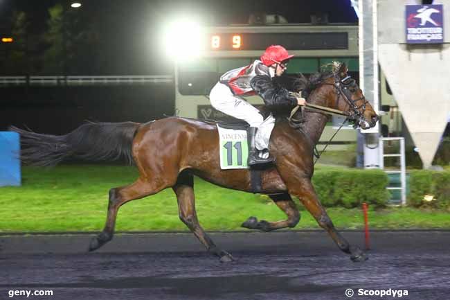 15/11/2024 - Vincennes - Prix Dynamène : Arrivée