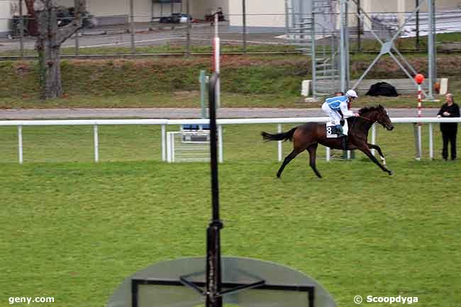 01/11/2010 - Maisons-Laffitte - Prix Aquatinte II : Arrivée