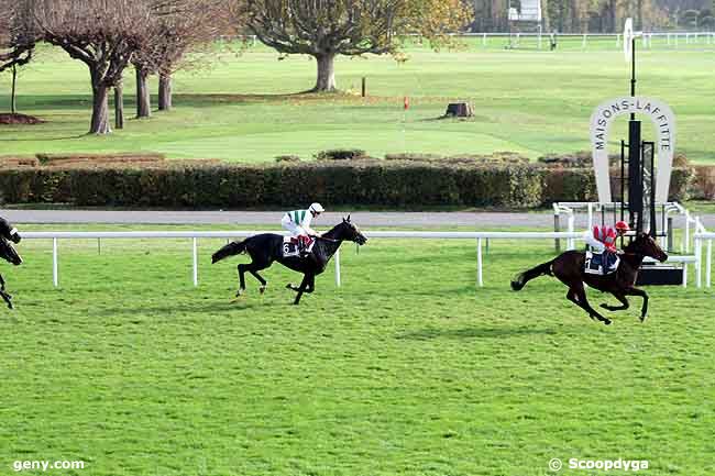 10/11/2011 - Maisons-Laffitte - Prix Tanerko : Arrivée