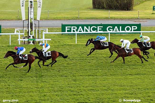 30/10/2013 - Maisons-Laffitte - Prix Henri de Vesian : Arrivée