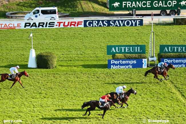 03/11/2013 - Auteuil - Prix Maurice Gillois - Grand Steeple-Chase des 4 Ans : Arrivée