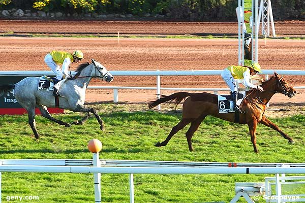 24/12/2014 - Cagnes-sur-Mer - Prix Alain du Breil : Result