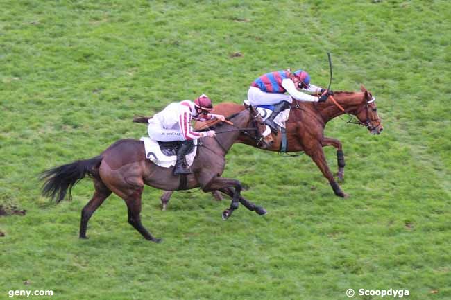 25/11/2015 - Auteuil - Prix Styrax : Ankunft