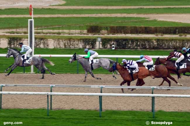 03/01/2016 - Deauville - Prix de Braudiere : Arrivée