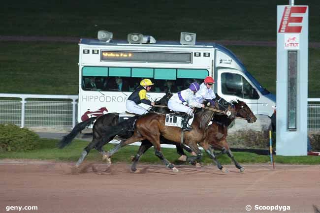 29/02/2016 - Enghien - Prix de Fenain : Arrivée