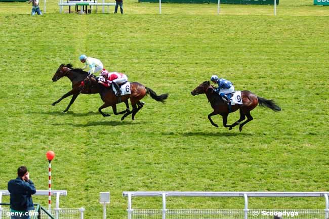 07/05/2016 - Maisons-Laffitte - Prix d'Aigremont : Arrivée