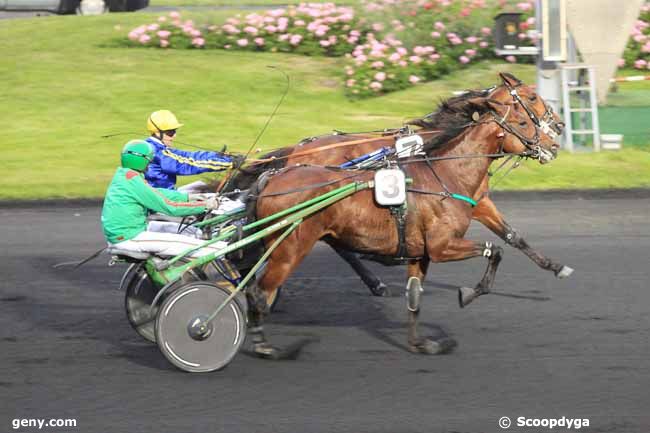 24/05/2016 - Vincennes - Prix Kalmia : Arrivée