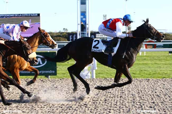 24/01/2017 - Cagnes-sur-Mer - Prix Yves Bachelier : Arrivée