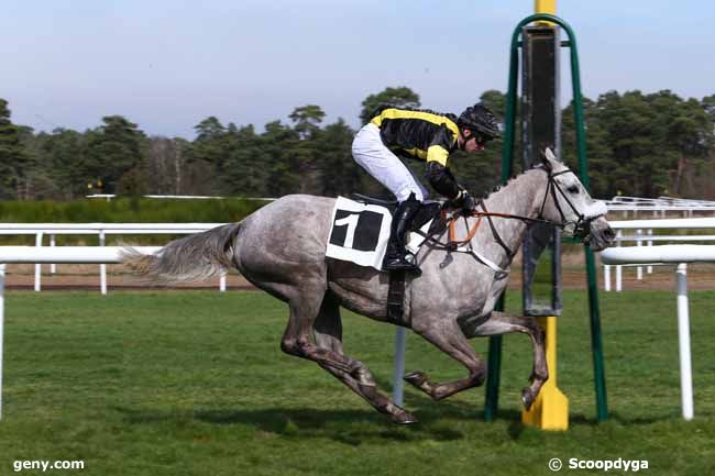 14/03/2017 - Fontainebleau - Prix de la Société des Courses du Pin : Arrivée