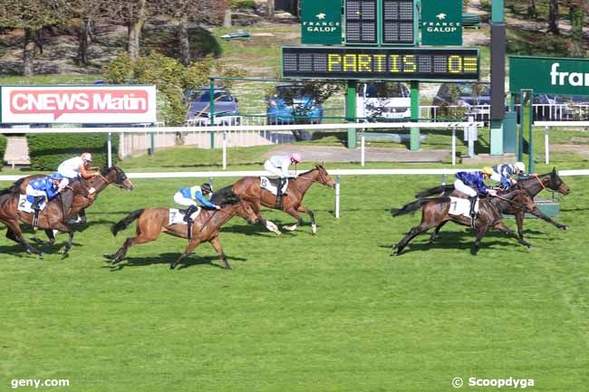 02/04/2017 - Saint-Cloud - Prix Zarkava - Fonds Européen de l'Elevage : Arrivée