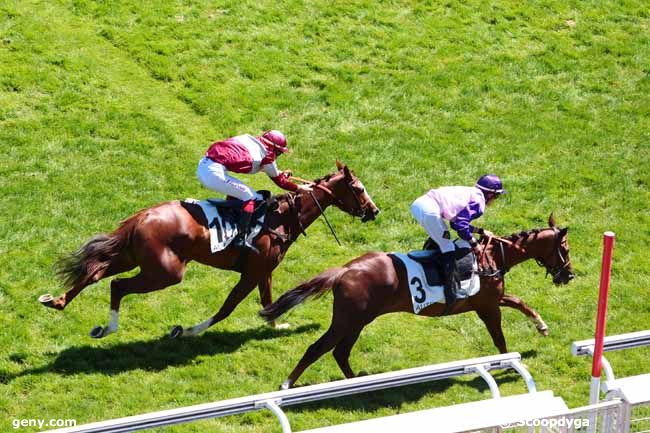 26/05/2017 - Auteuil - Prix Gopal : Arrivée