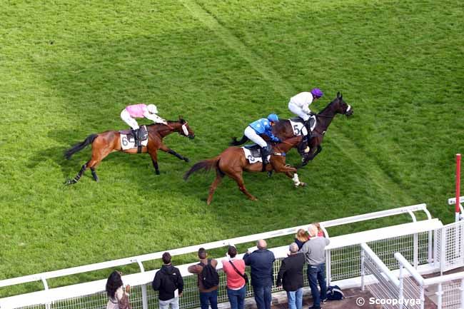 09/06/2019 - Auteuil - Prix de la Concorde : Ankunft